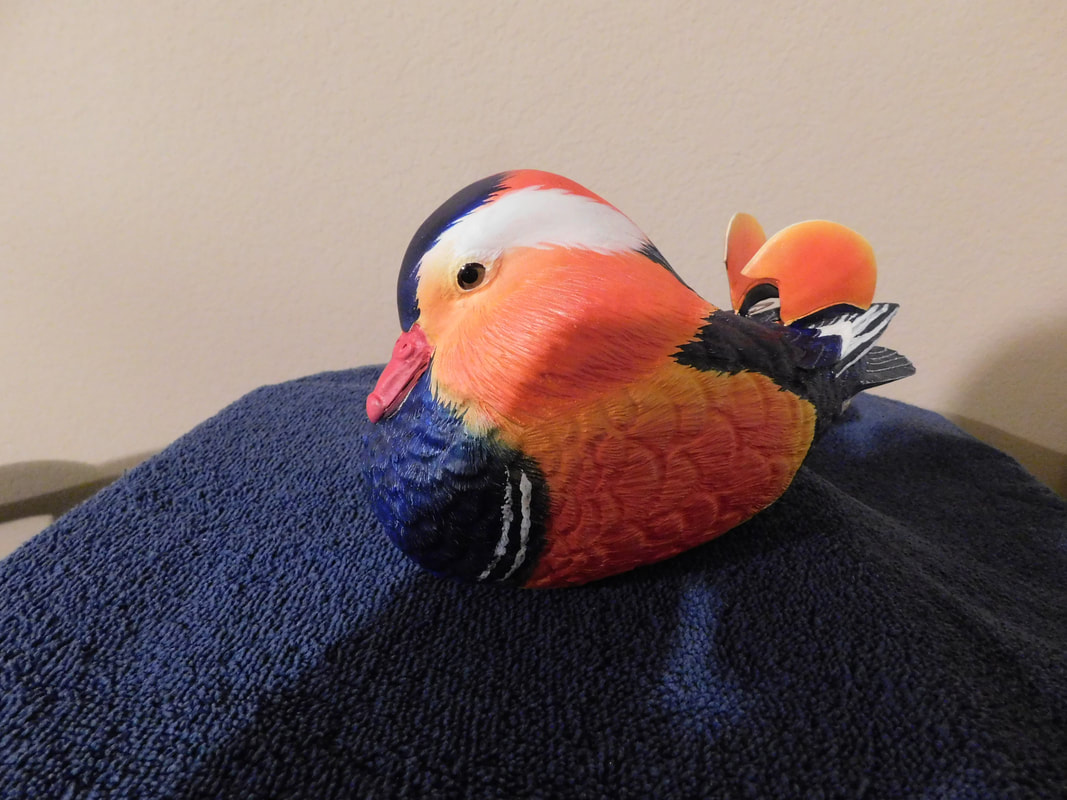stuffed mandarin duck